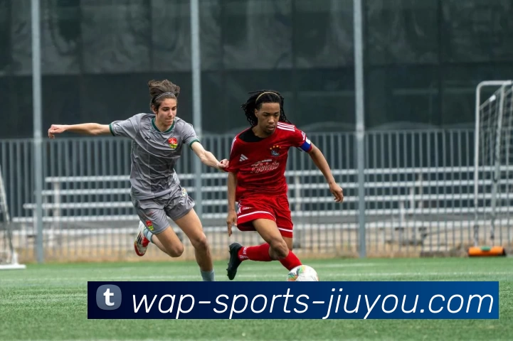 JIUYOU平台生态图